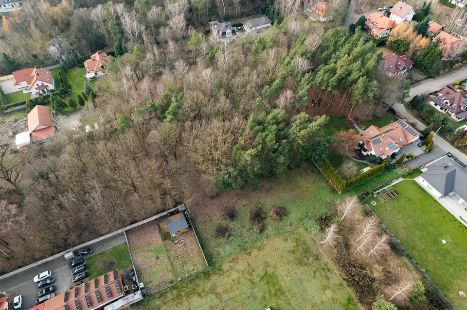 Zdjęcie 13