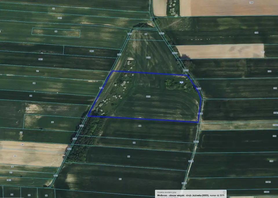Działka rolna 2,28 ha, Jeżówka