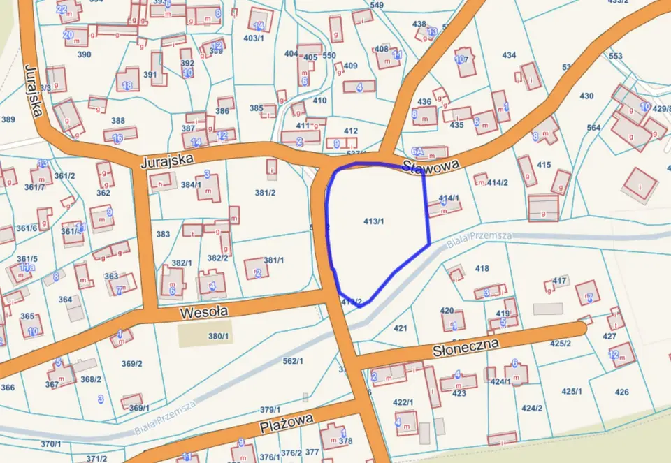 Zdjęcie 7