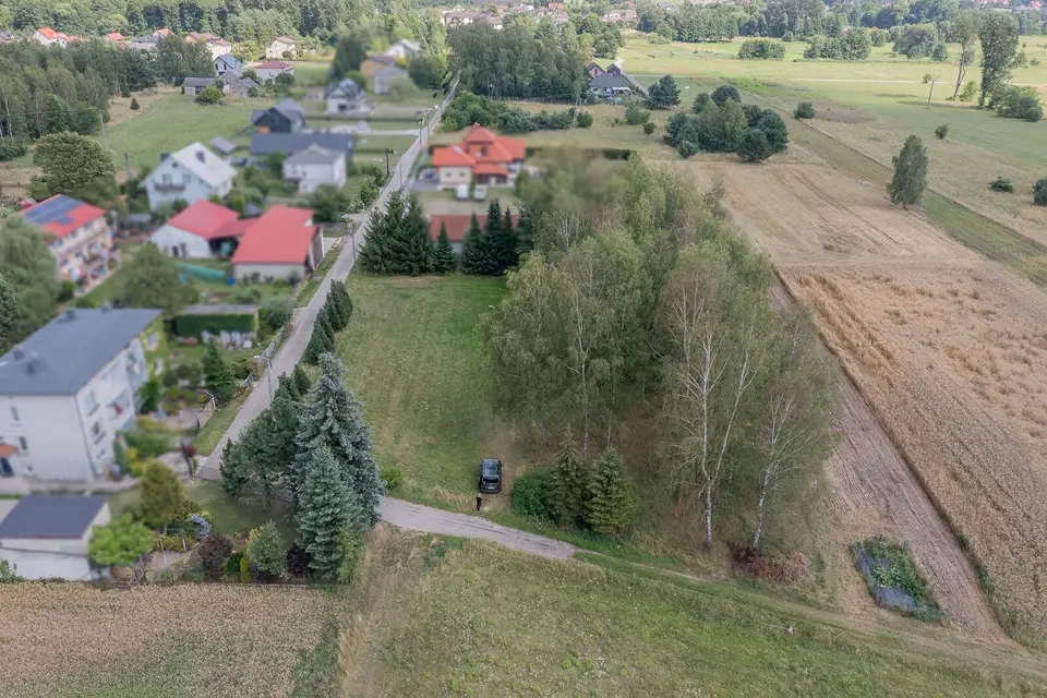 Zdjęcie 3