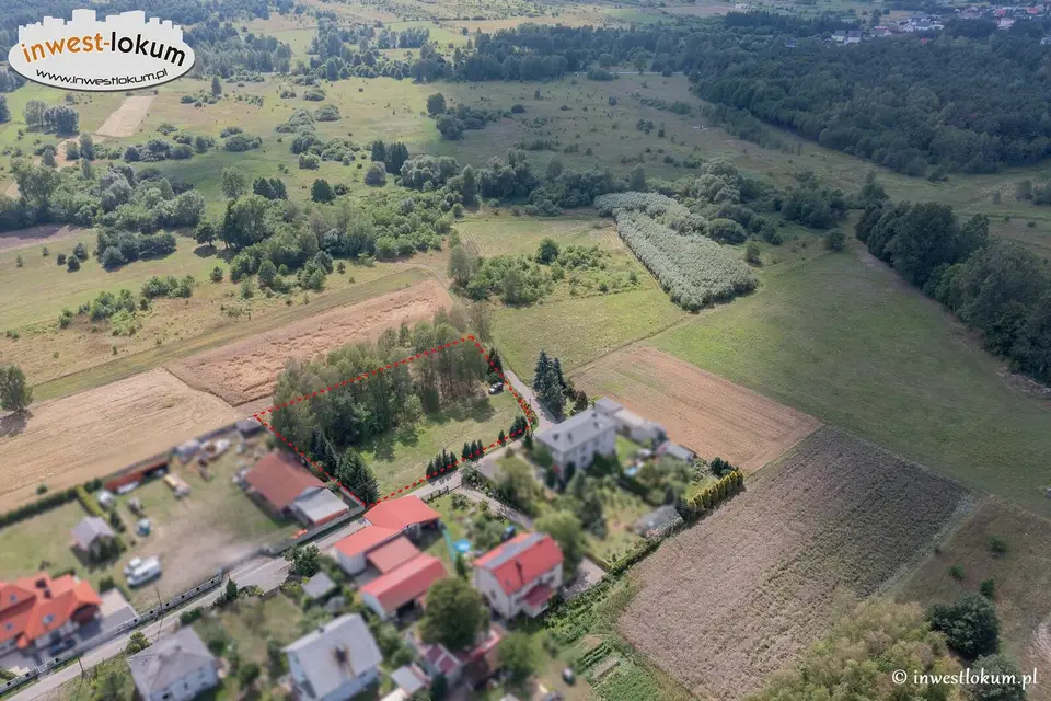Zdjęcie 6