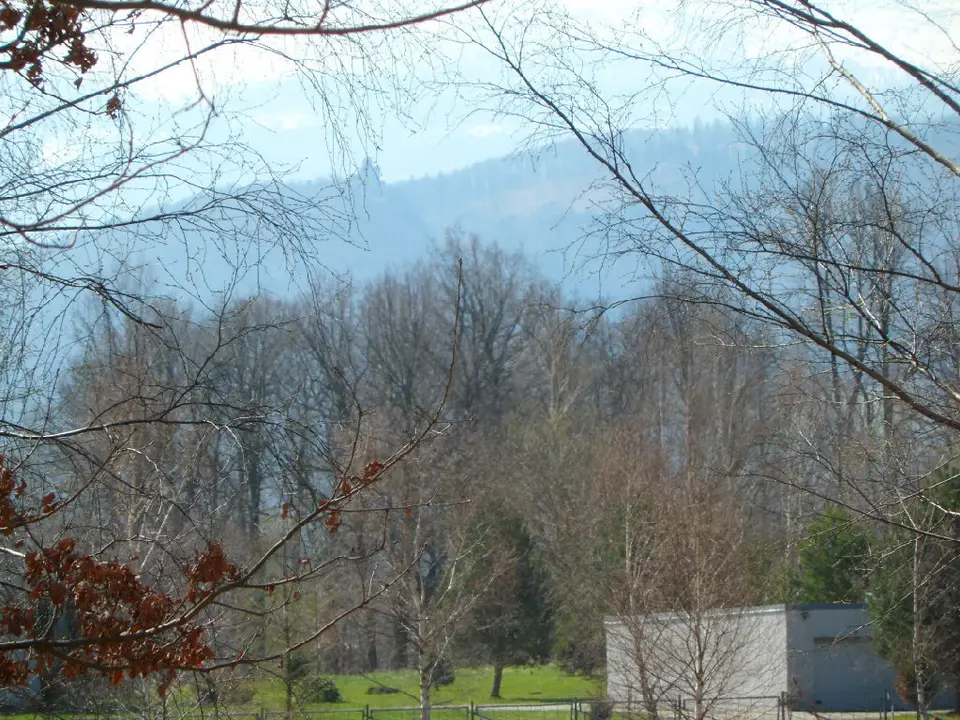 Działka budowlana 5 020 m², Wojcieszyce