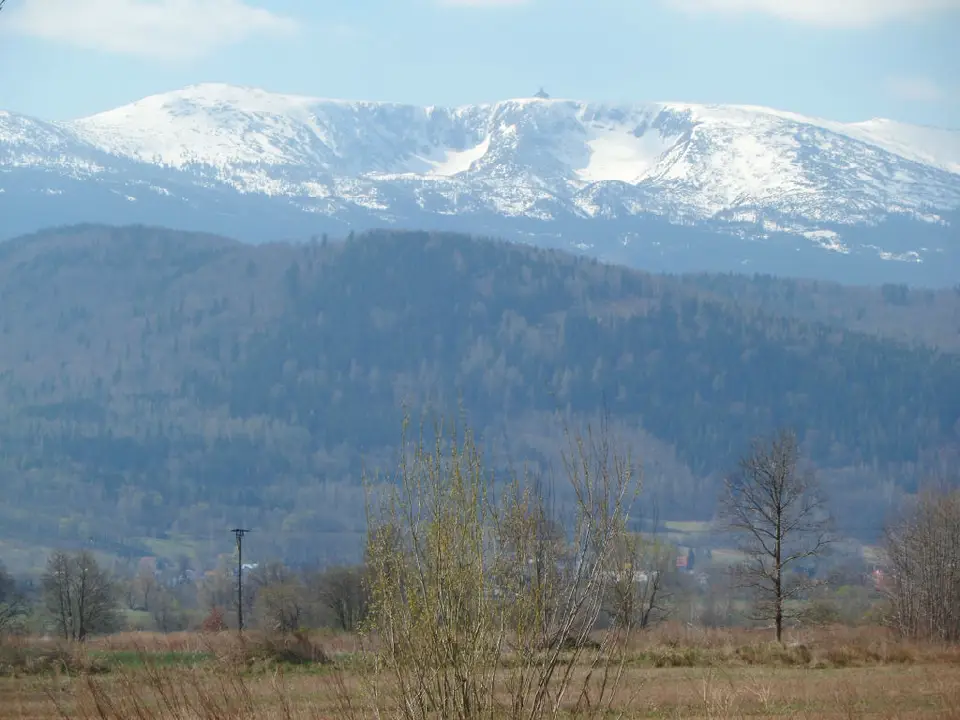 Zdjęcie 4