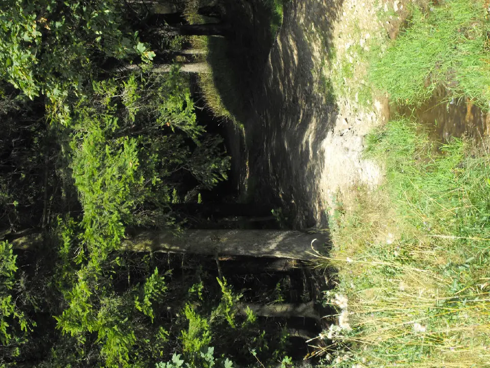 Zdjęcie 11