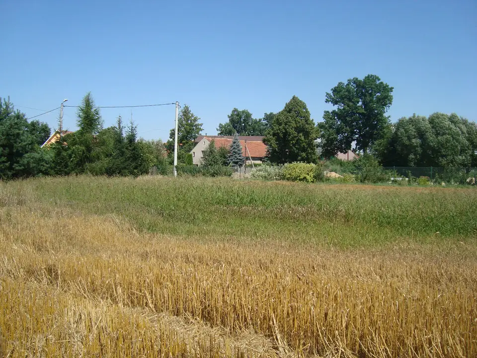 Działka budowlana 1 500 m², Szymanów