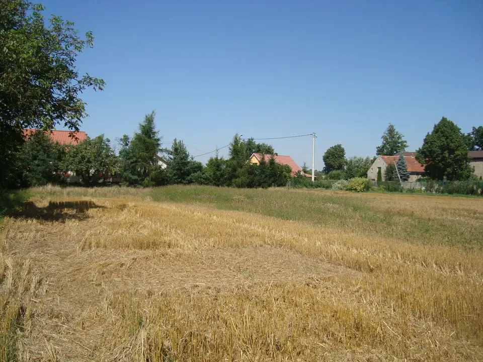 Zdjęcie 2