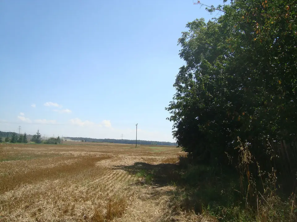 Zdjęcie 3