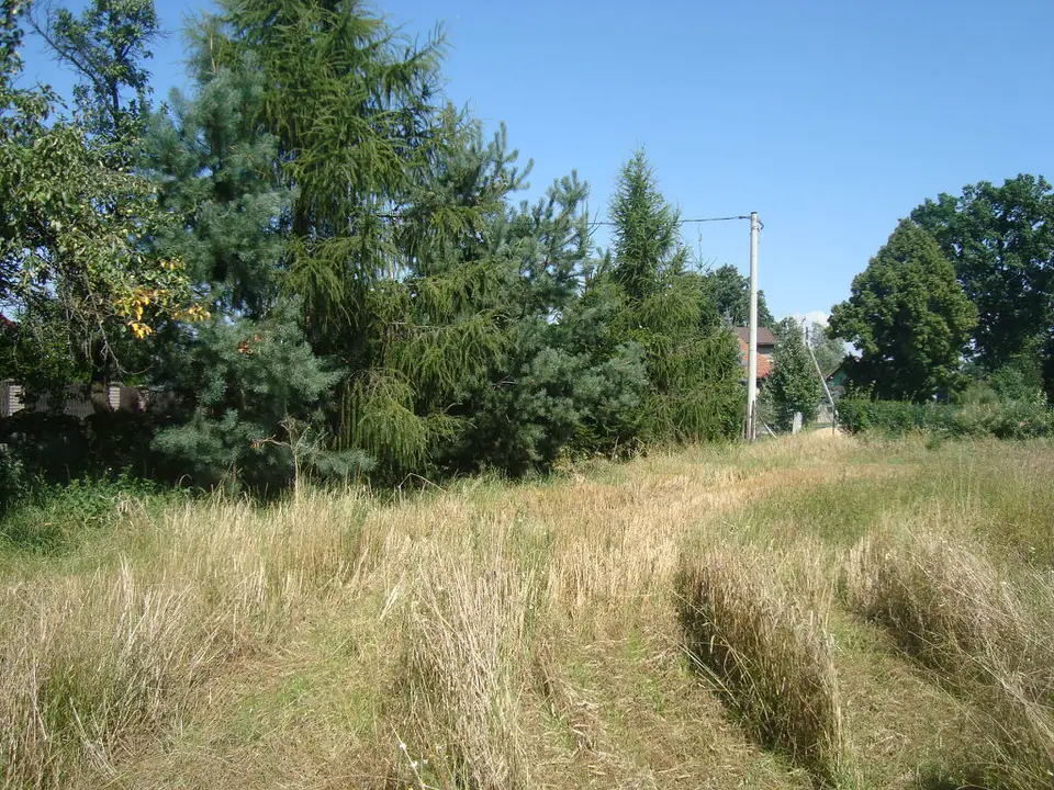 Zdjęcie 4