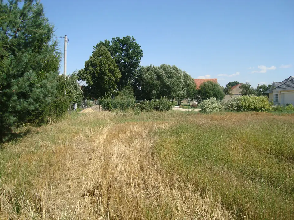 Zdjęcie 5