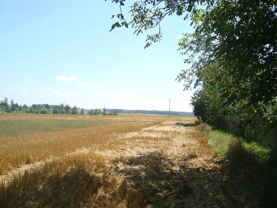 Zdjęcie 6