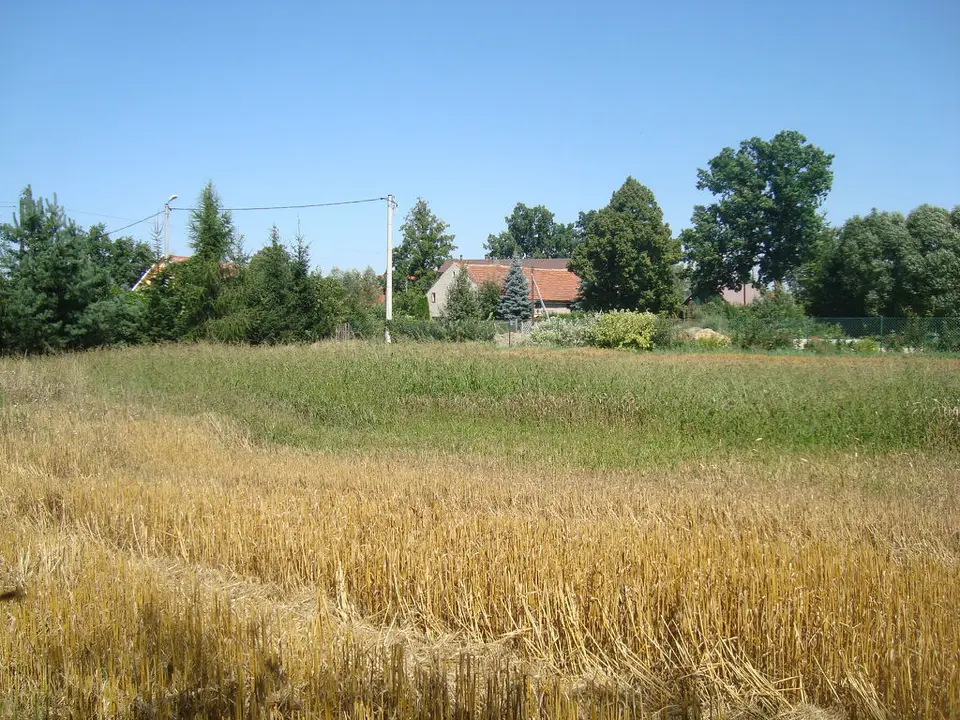 Zdjęcie 7