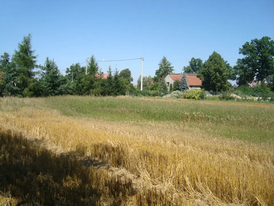 Zdjęcie 8