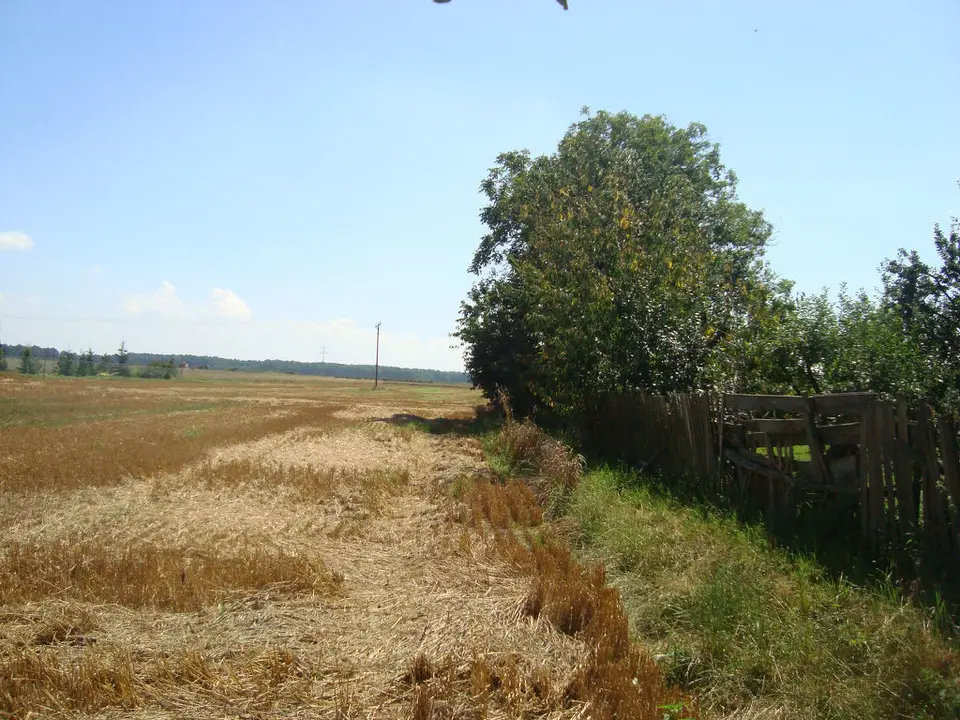Zdjęcie 9