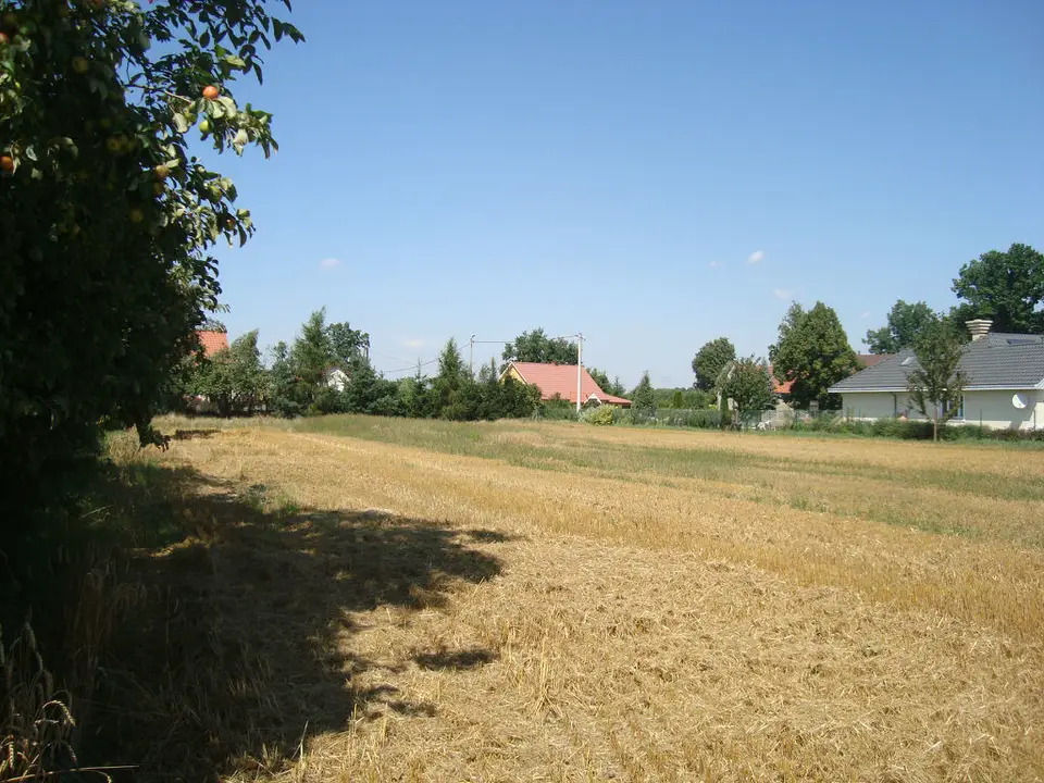 Zdjęcie 10