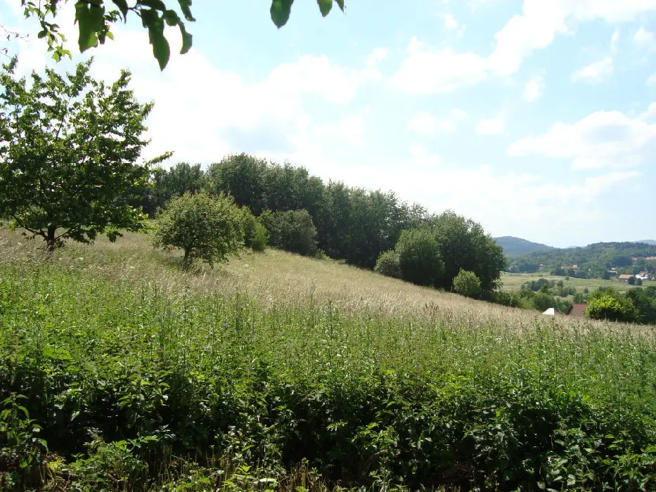 Działka budowlana 2 142 m², Dziećmorowice