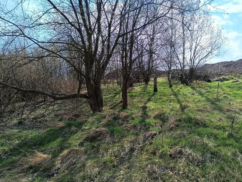Zdjęcie 2