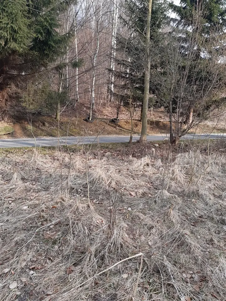 Działka budowlana 4 335 m², Niedźwiedzica