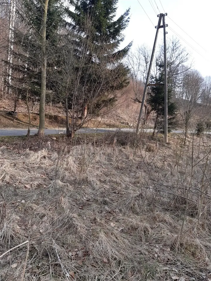 Zdjęcie 5