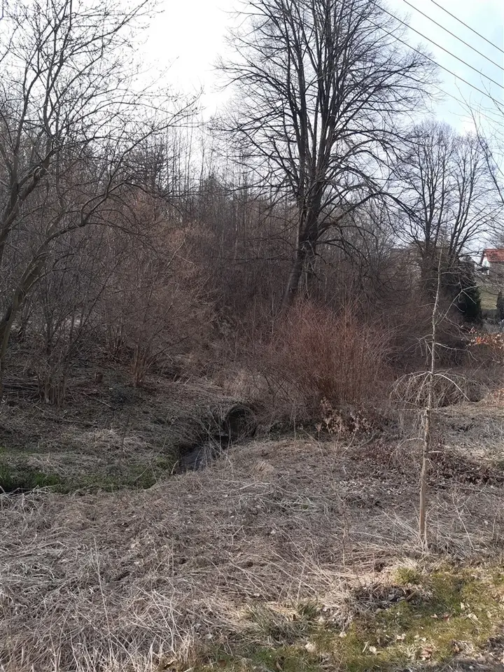 Zdjęcie 11