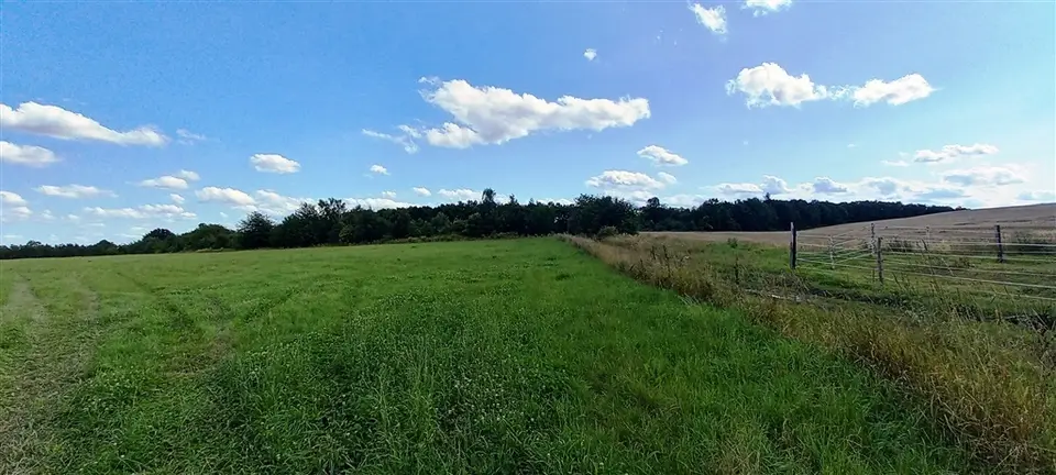 Zdjęcie 3
