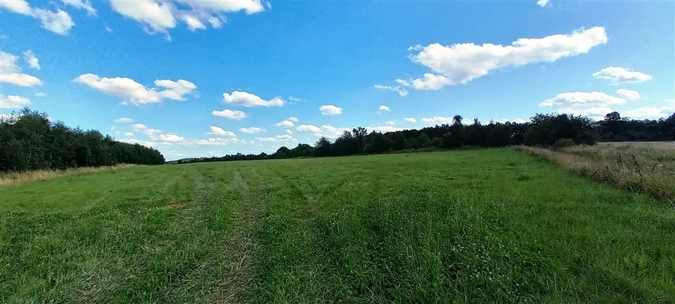 Zdjęcie 4