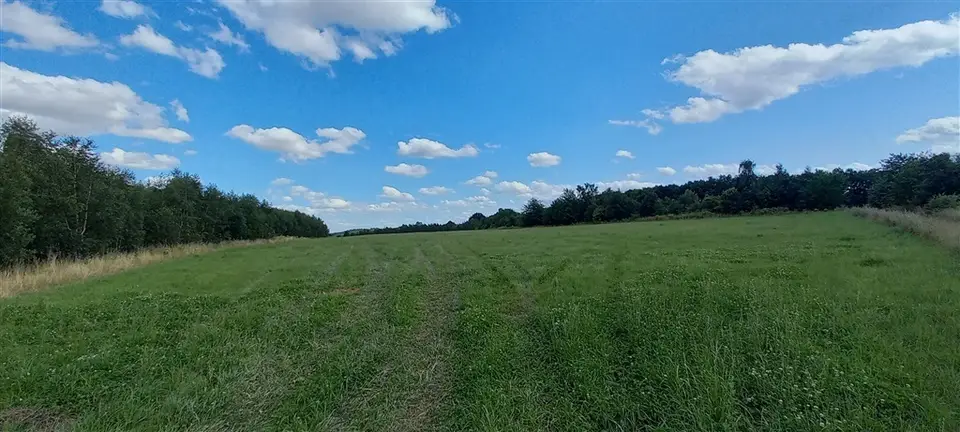 Zdjęcie 5