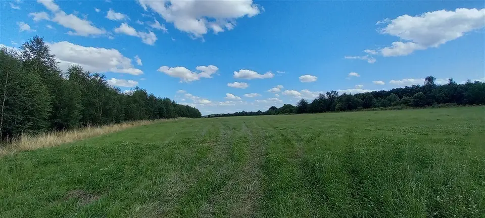 Zdjęcie 6