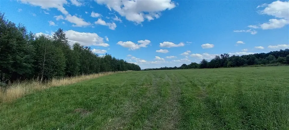 Zdjęcie 7
