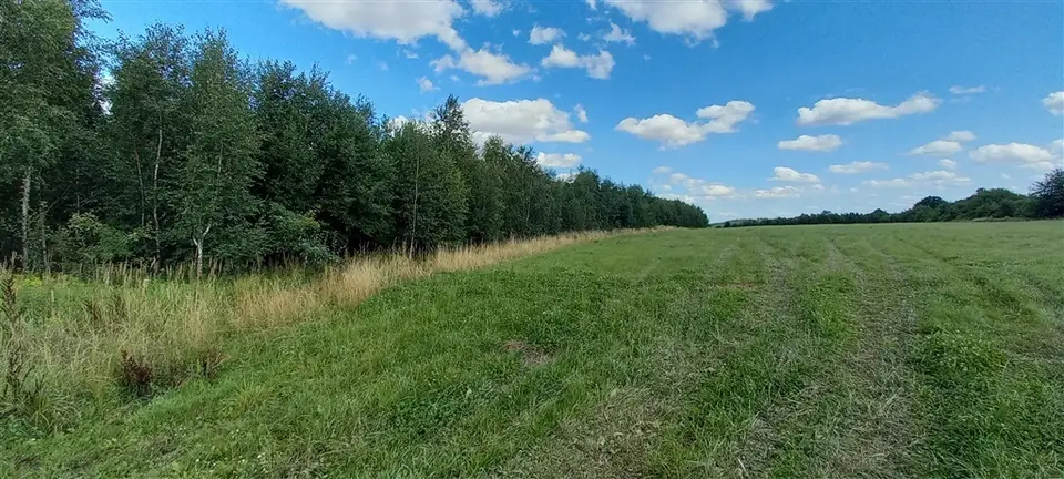Zdjęcie 8