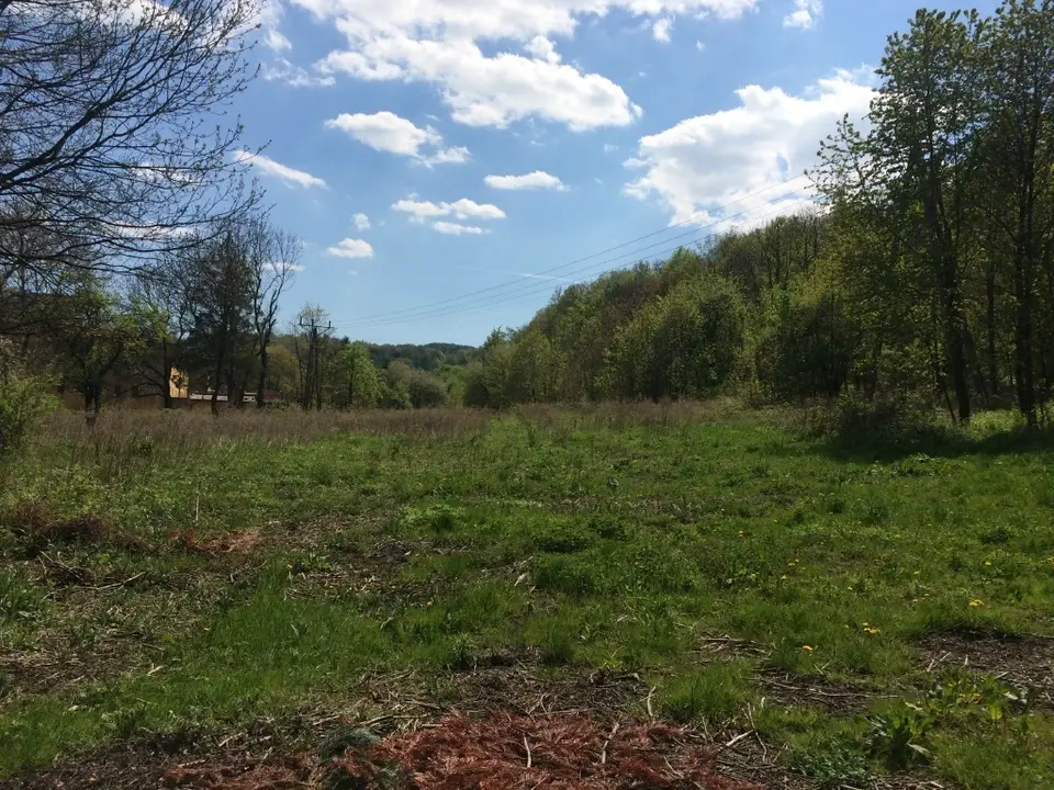 Działka budowlana 1,3 ha, Świebodzice, Pełcznica