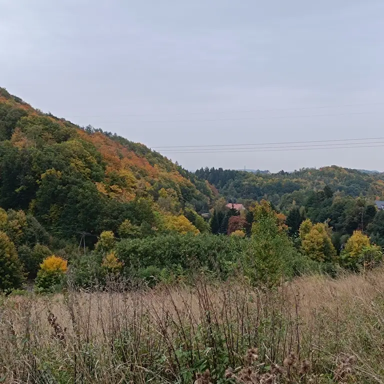 Zdjęcie 4