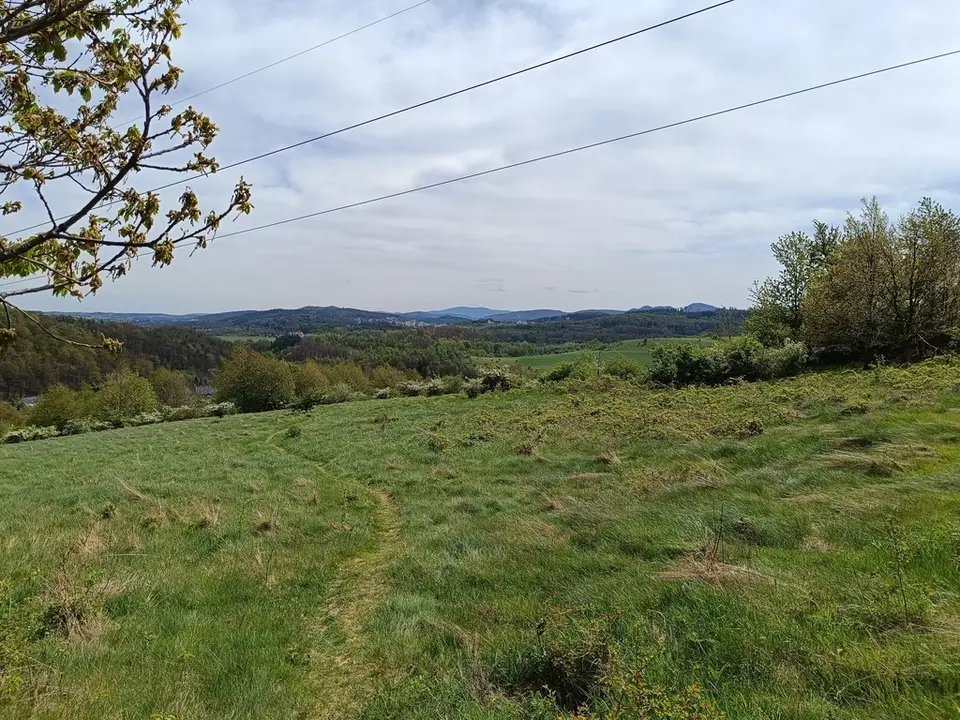 Zdjęcie 11