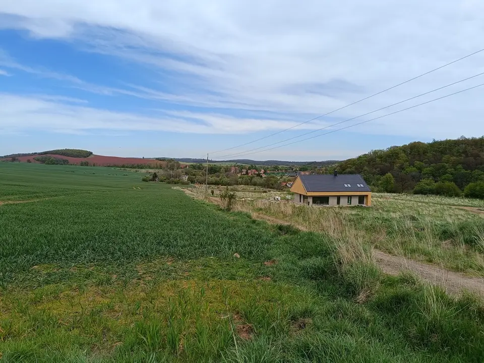 Zdjęcie 12