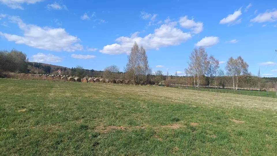 Zdjęcie 4