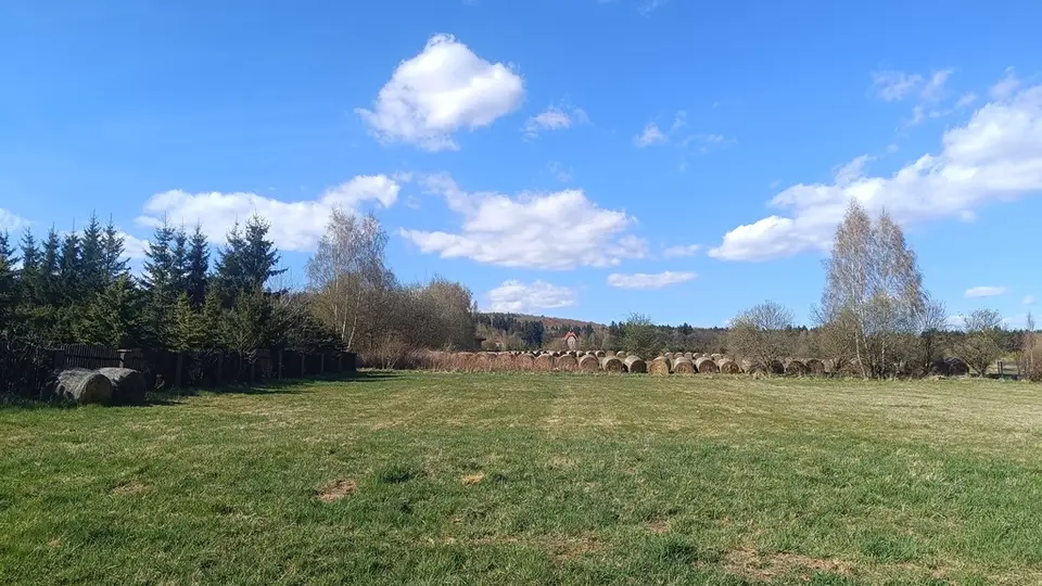 Zdjęcie 5