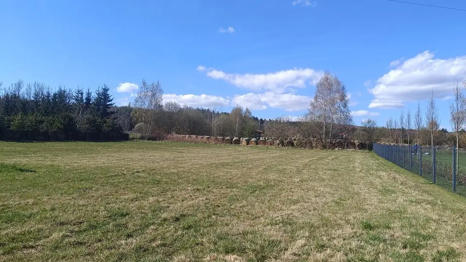 Zdjęcie 6