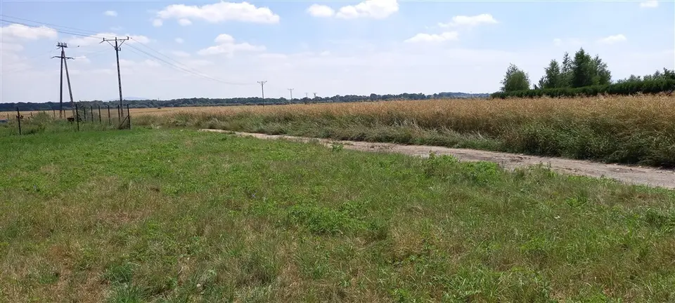 Działka budowlana 2 000 m², Międzyrzecze