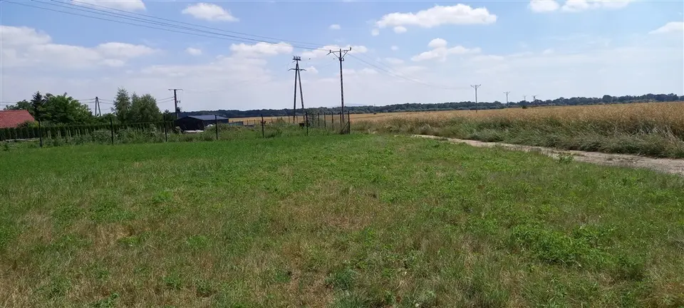 Zdjęcie 2
