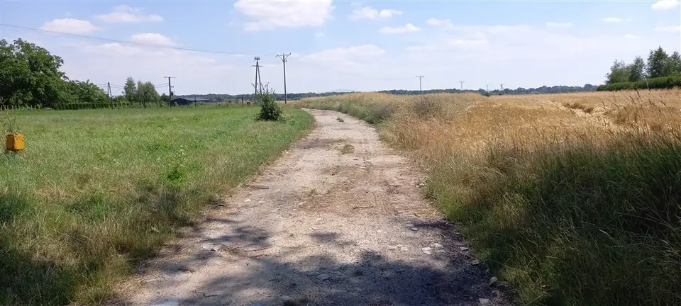 Zdjęcie 4