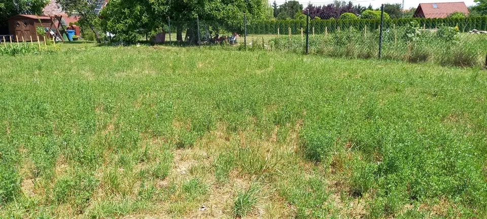 Zdjęcie 5