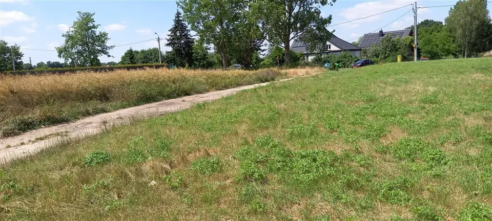 Zdjęcie 6
