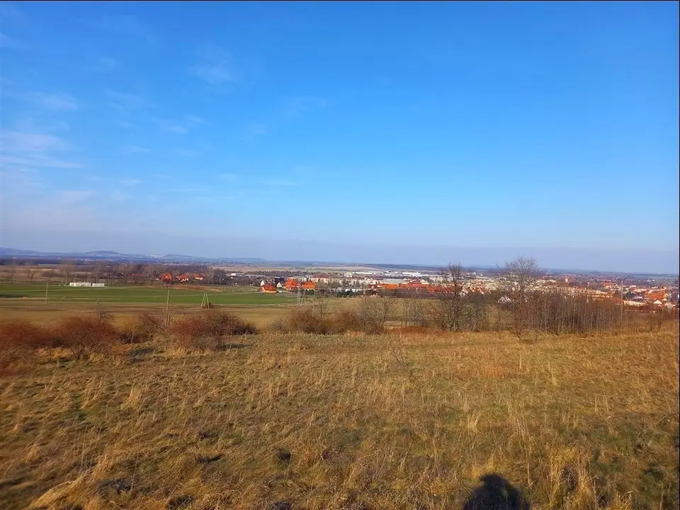 Zdjęcie 3