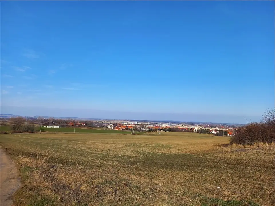 Zdjęcie 5
