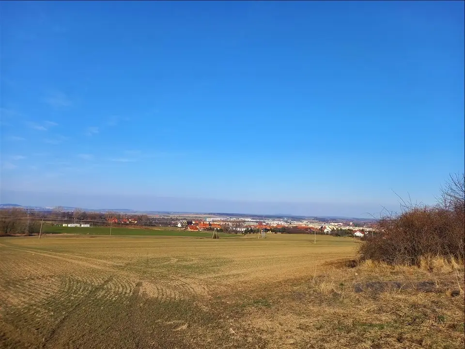 Zdjęcie 7