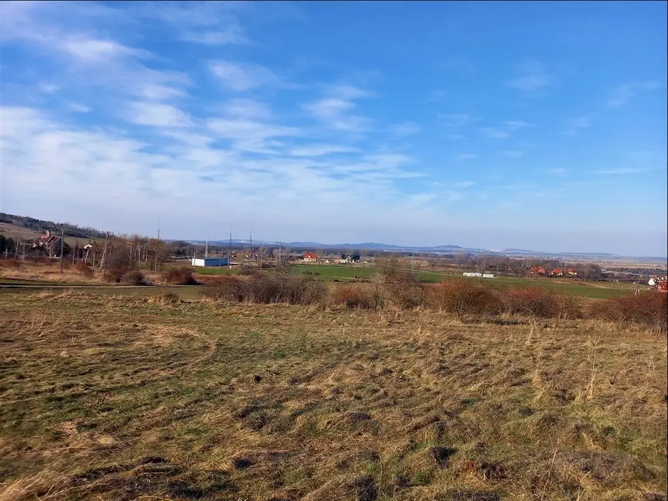 Zdjęcie 10