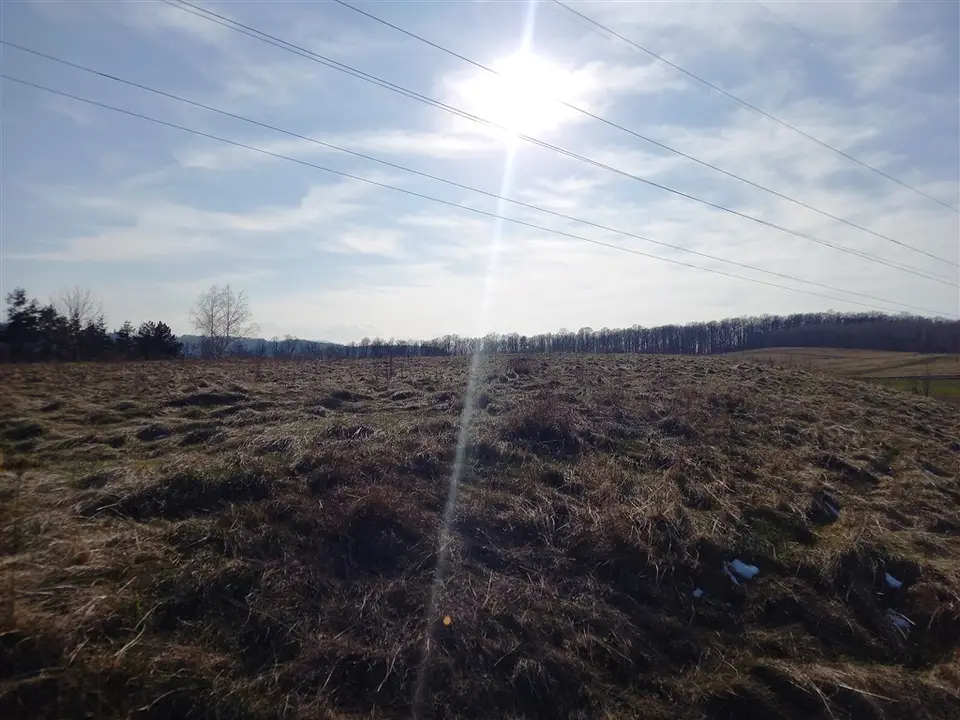 Zdjęcie 11