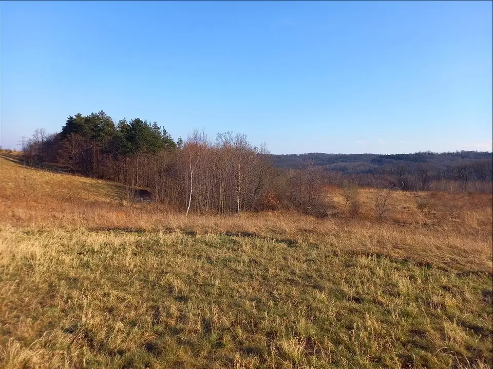 Zdjęcie 13