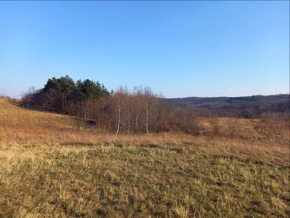 Zdjęcie 15