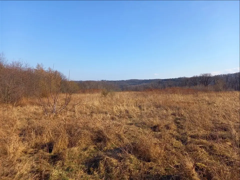 Zdjęcie 18