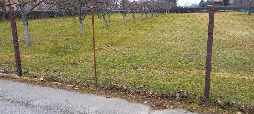 Zdjęcie 3